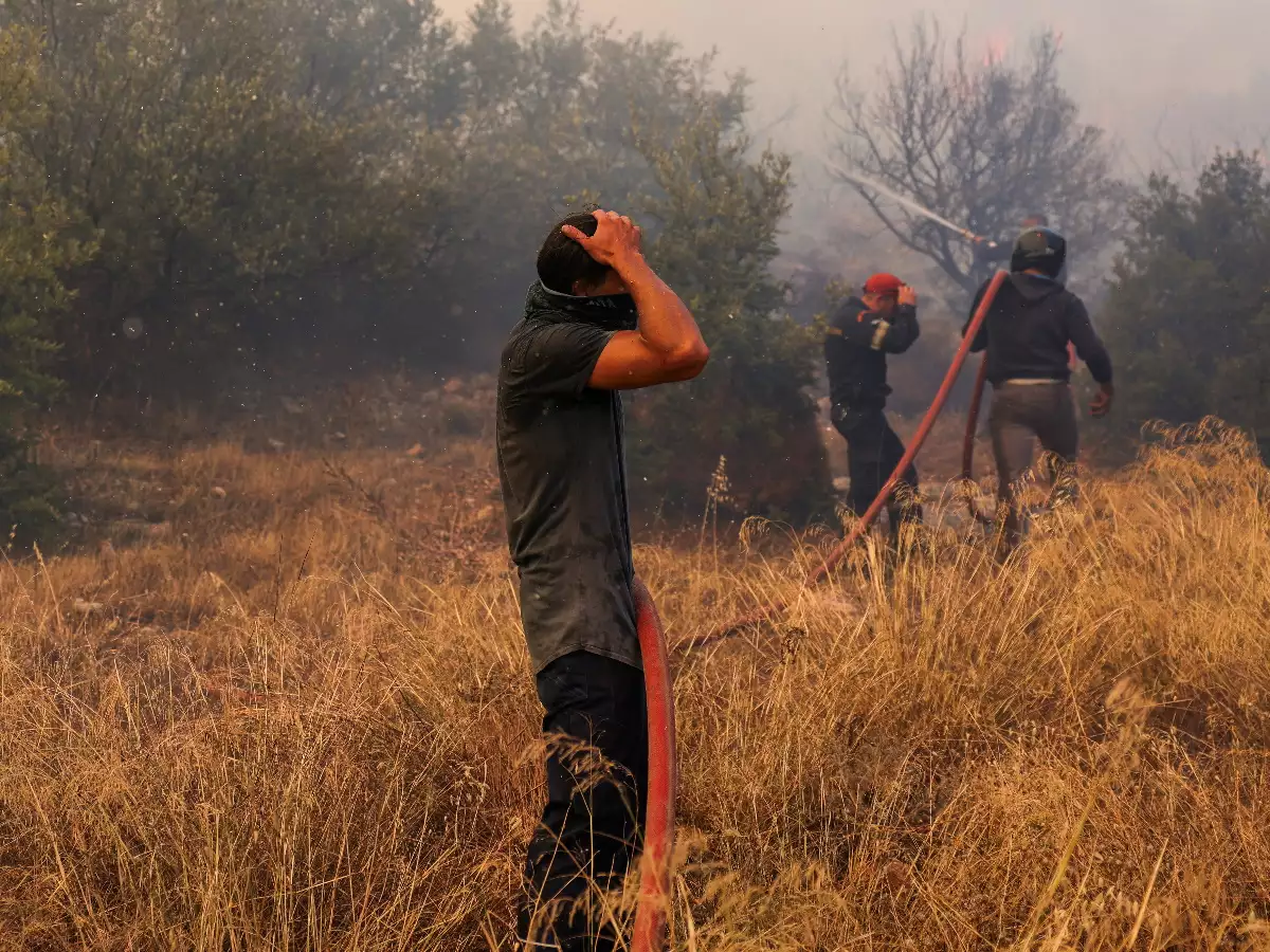 Φωτιά στο Λαγονήσι: Η ανάρτηση της υπεύθυνης του καταφυγίου ζώων που κάηκε – «Εγώ απλά τελείωσα»