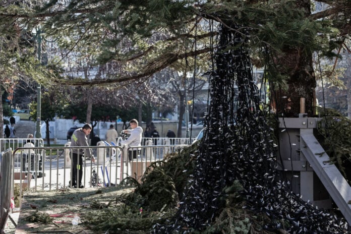 Σύνταγμα: Στήθηκε το χριστουγεννιάτικο δέντρο – Από το Καρπενήσι στο κέντρο της Αθήνας