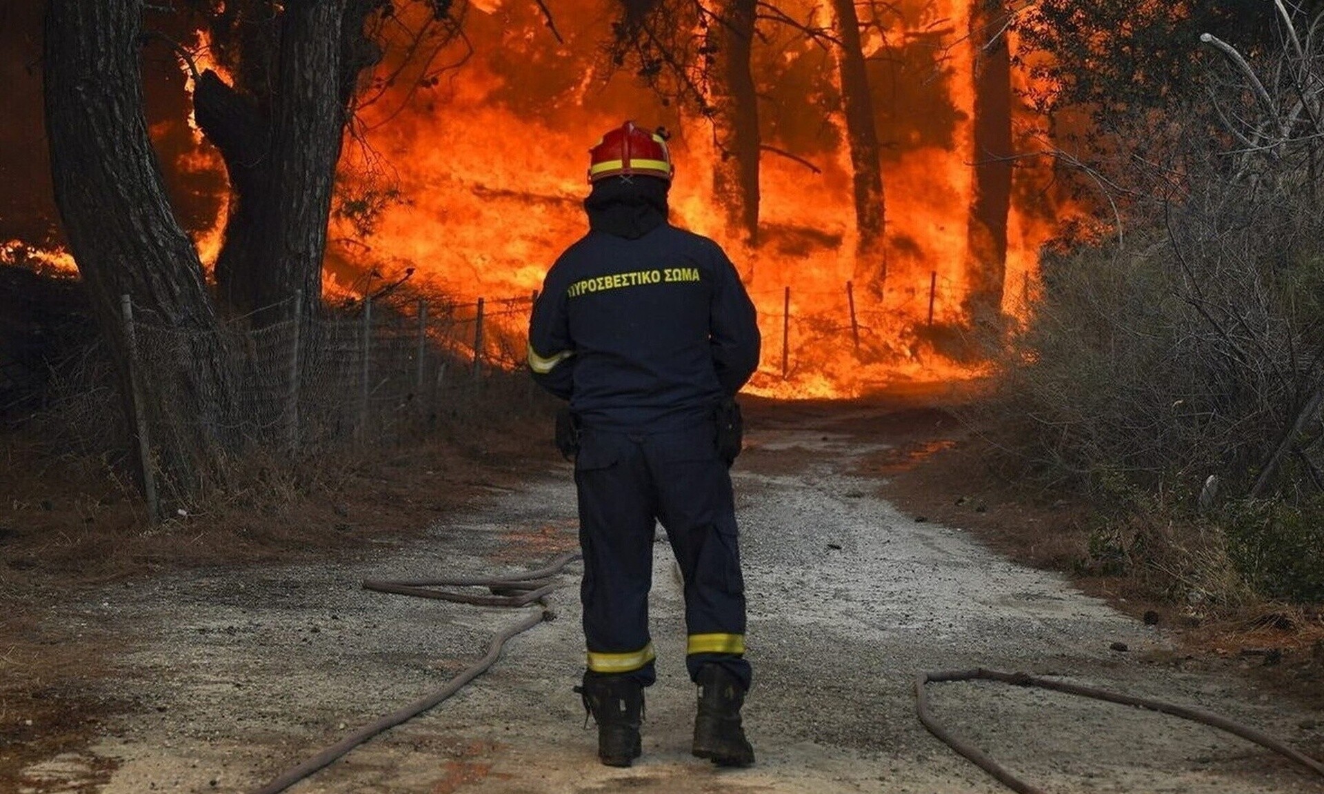 Ακαθάριστα οικόπεδα: Τι να κάνετε για να μην πληρώσετε πρόστιμα έως και 54.000 ευρώ